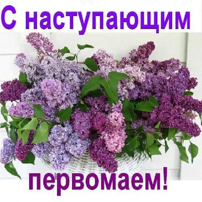 IMG_20260504_085057