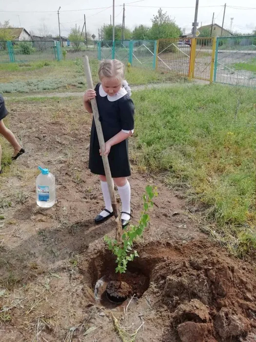 изображение_viber_2020-05-08_20-38-01